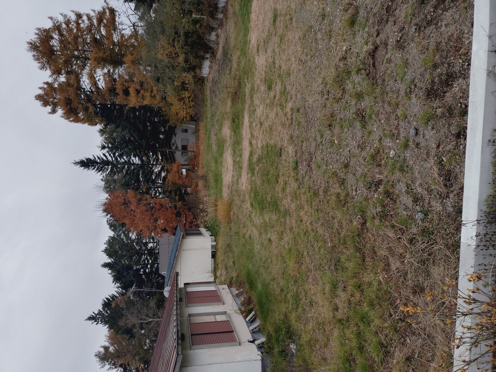 ���c��ѕʑ��n